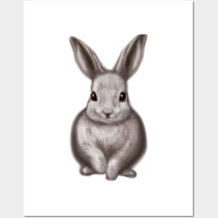 Cute Rabbit Drawing Posters and Art